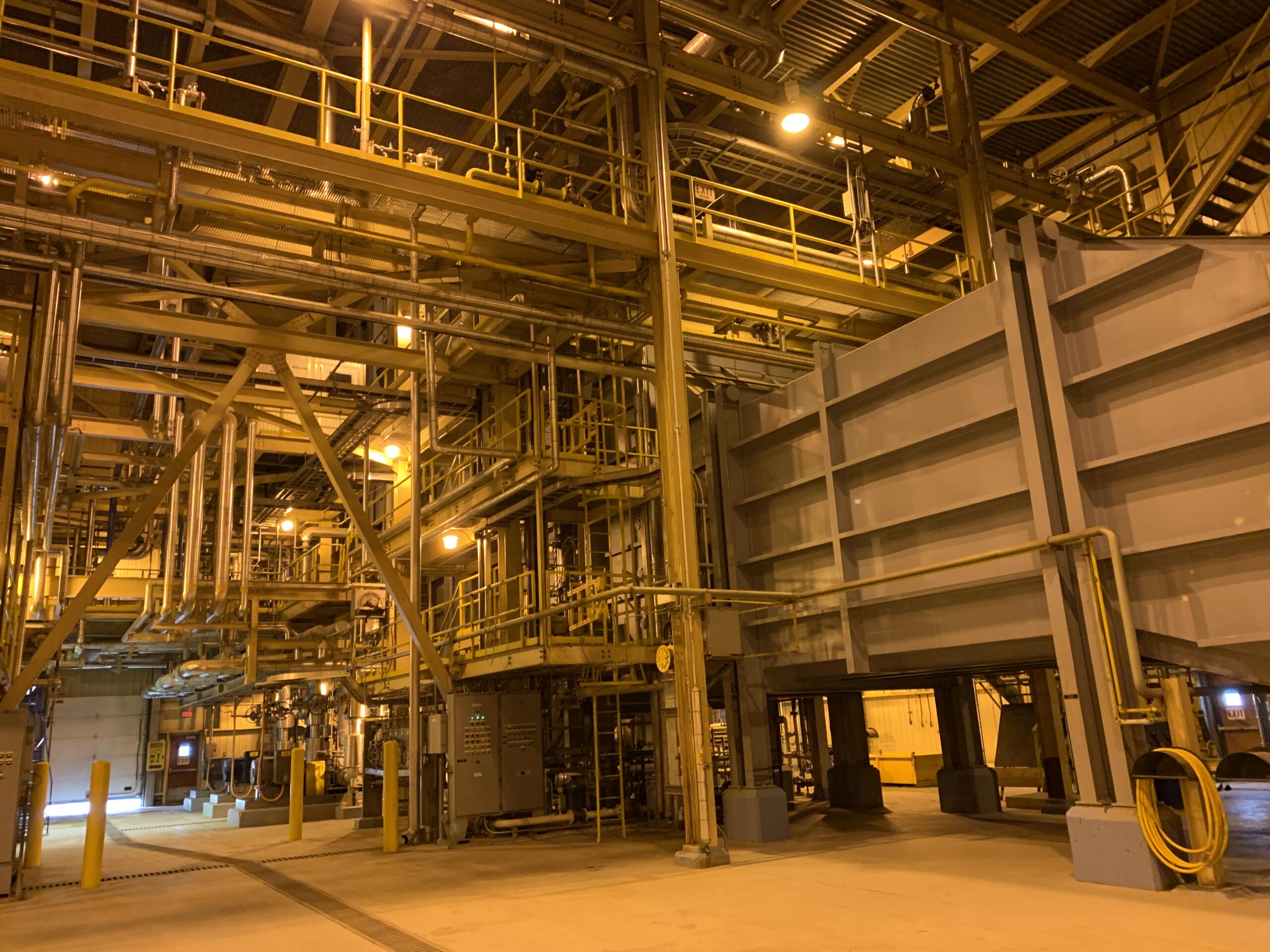 image of plant interior